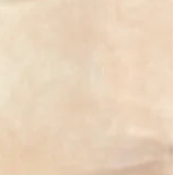 20 Count Aida - Aslan - Atomic Ranch Fabrics, Fabric, The Crafty Grimalkin - A Cross Stitch Store