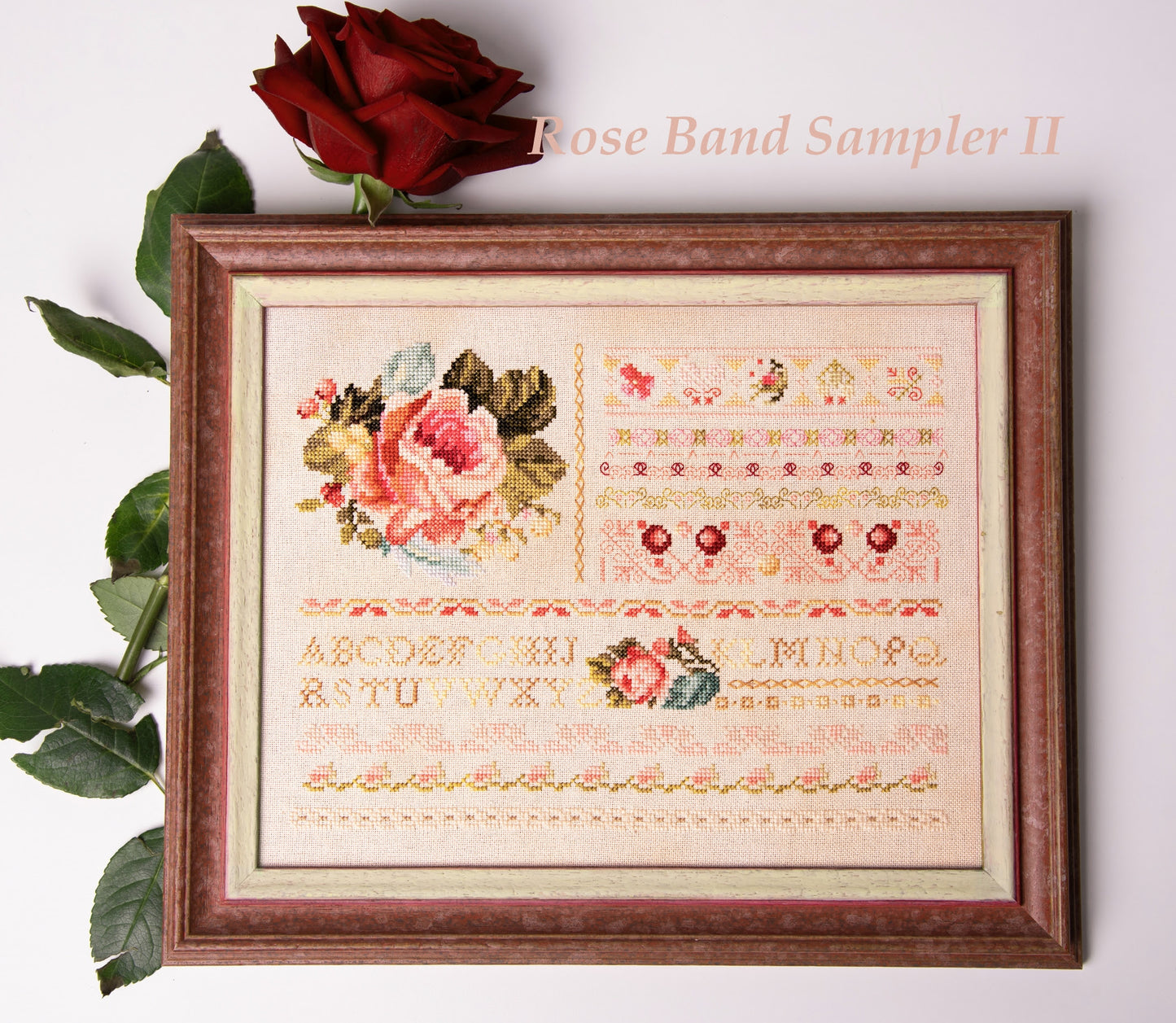 Rose Band Sampler II - Samplers and Primitives - Cross Stitch Pattern