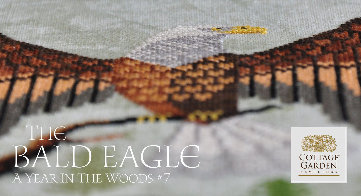 A Year in the Woods 7 - The Bald Eagle - Cottage Garden Samplings - Cross Stitch Pattern
