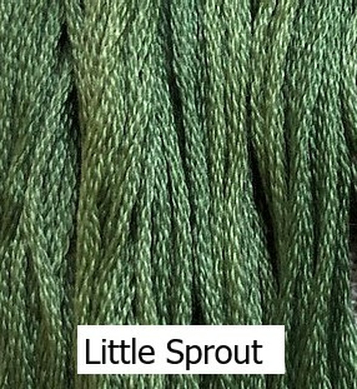 Little Sprout - Classic Colorworks Cotton Thread - Floss, Thread & Floss, Thread & Floss, The Crafty Grimalkin - A Cross Stitch Store