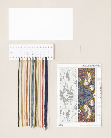 DMC V&A Advanced Bookmark Cross Stitch Kit by William Morris - Strawberry Thief