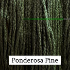 Ponderosa Pine - Classic Colorworks Cotton Thread - Floss