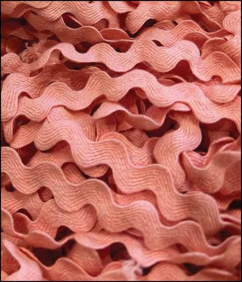 Caroline Rick Rack - Lady Dots Creates Finishing Trims, Ribbons & Trim, The Crafty Grimalkin - A Cross Stitch Store