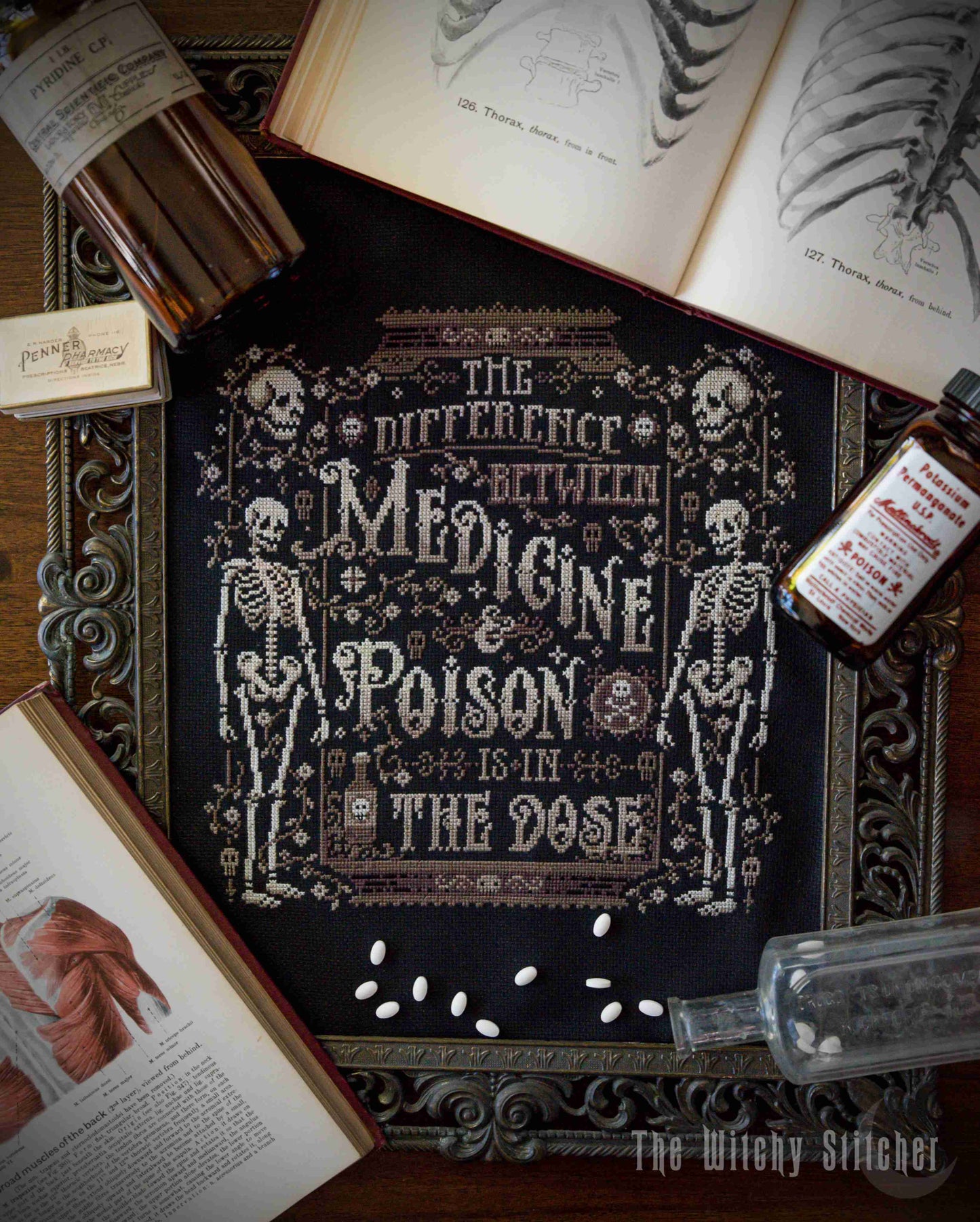 PREORDER The Difference Between Medicine & Poison - Witchy Stitcher - Cross Stitch Pattern (Copy), Needlecraft Patterns, Cross Stitch Patterns, The Crafty Grimalkin - A Cross Stitch Store