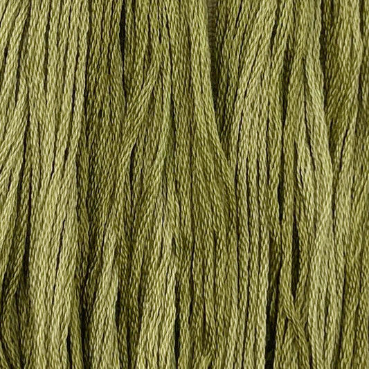 Holly - Colour and Cotton Thread