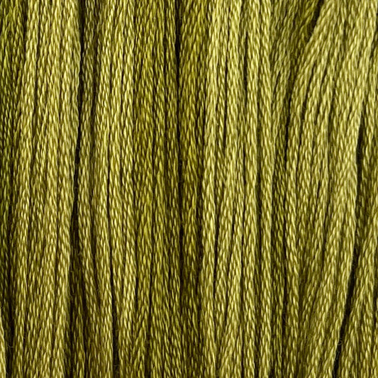 Tadpole - Colour and Cotton Thread, Uncategorized, The Crafty Grimalkin - A Cross Stitch Store