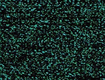 PB31 - Evergreen  Petite Treasure Braid  -  Rainbow Gallery, The Crafty Grimalkin - A Cross Stitch Store