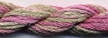 S-041 Tea Tree - Dinky Dyes - 6 Stranded Silk Thread, Thread & Floss, The Crafty Grimalkin - A Cross Stitch Store
