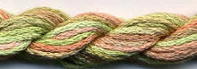 S-045 Bush Baby - Dinky Dyes - 6 Stranded Silk Thread, Thread & Floss, The Crafty Grimalkin - A Cross Stitch Store