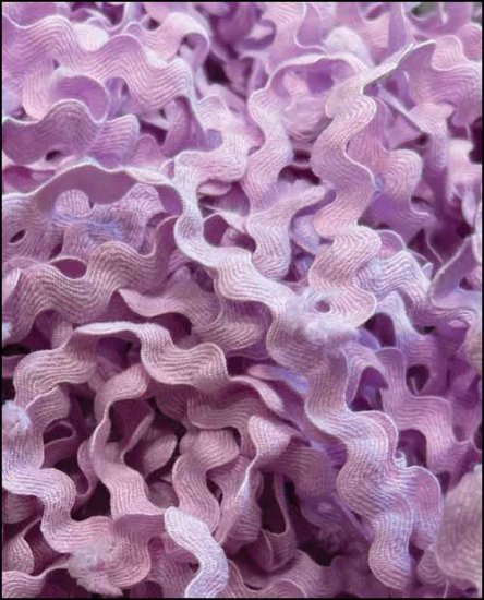 Wisteria Rick Rack - Lady Dots Creates Finishing Trims, Ribbons & Trim, The Crafty Grimalkin - A Cross Stitch Store