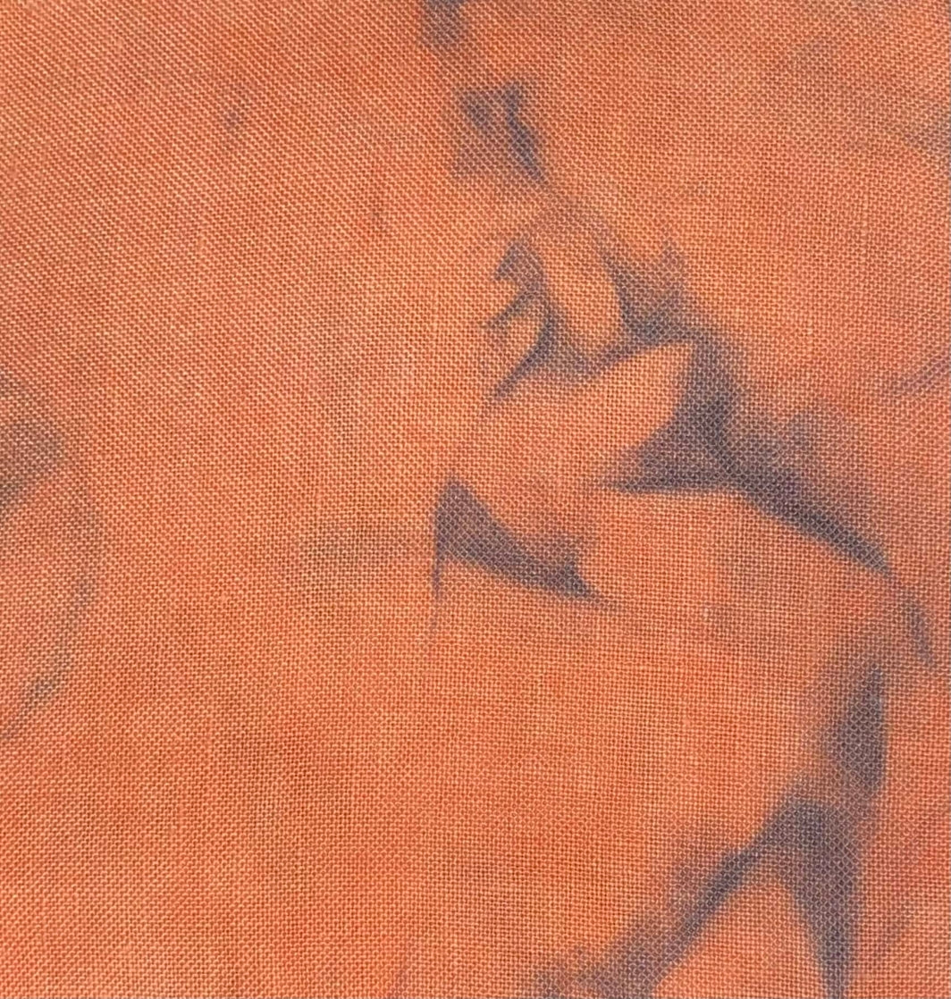 36 Count Linen - Eek - Picture this Plus