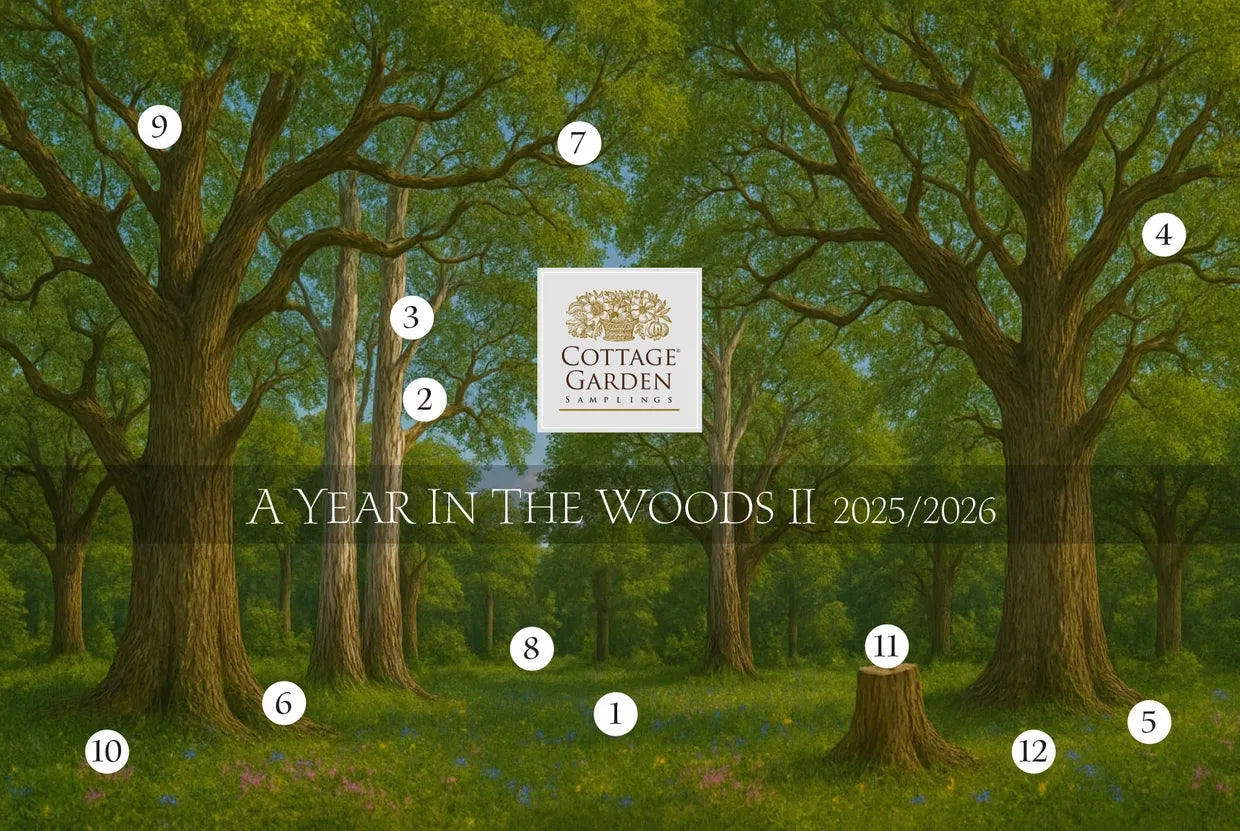 A Year in the Woods II 2025-2026 Auto Ship - Cottage Garden Samplings - Cross Stitch Pattern, Needlecraft Patterns, The Crafty Grimalkin - A Cross Stitch Store