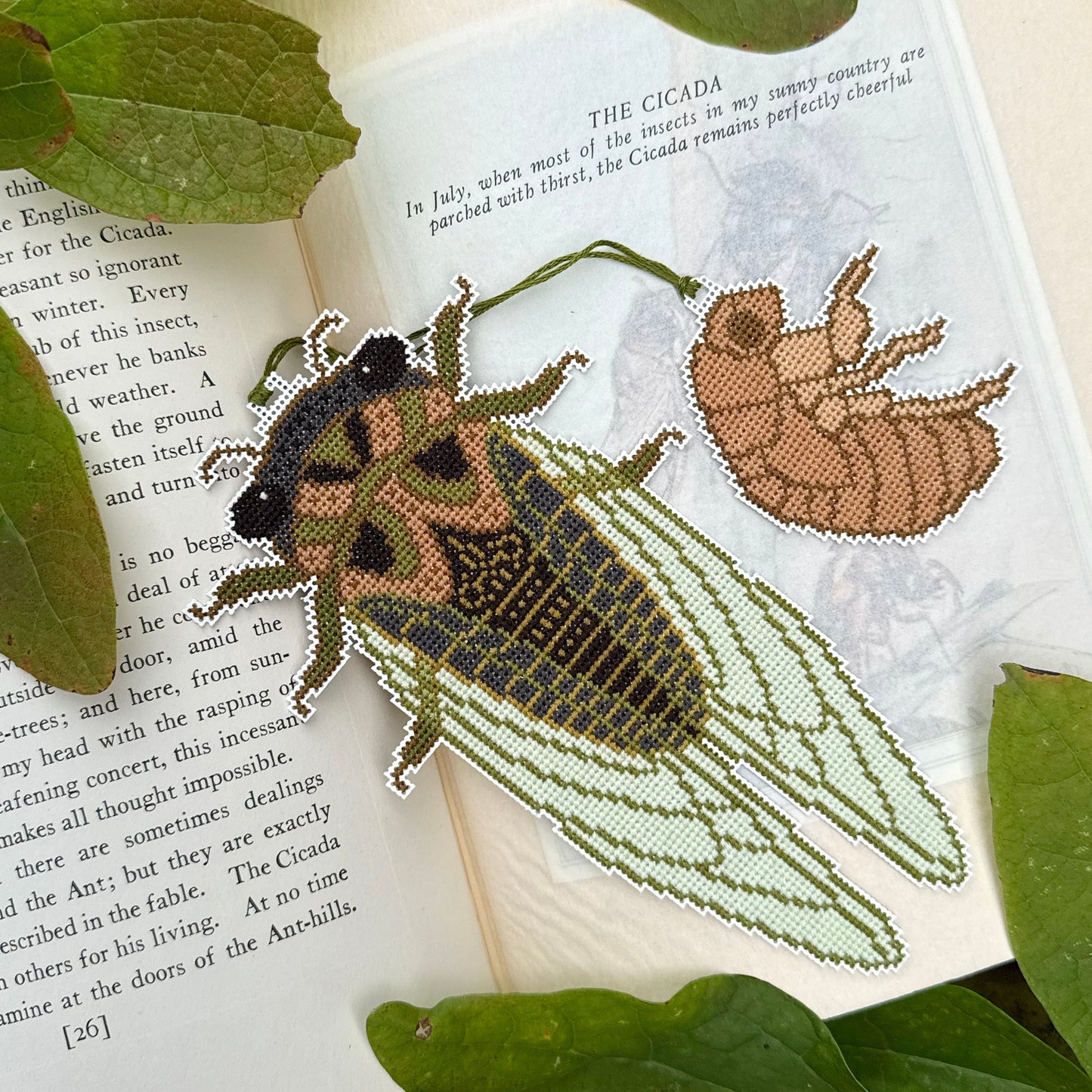Cicada Season - Boomerang Stitches - Cross Stitch Pattern