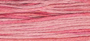 Camellia - Weeks Dye Works - Floss, Thread & Floss, Thread & Floss, The Crafty Grimalkin - A Cross Stitch Store