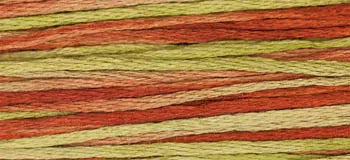 Tobacco Road - Weeks Dye Works - Floss
