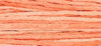 Cantaloupe - Weeks Dye Works - Floss, Thread & Floss, Thread & Floss, The Crafty Grimalkin - A Cross Stitch Store
